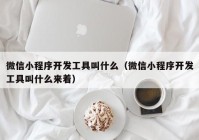 微信小程序开发工具叫什么（微信小程序开发工具叫什么来着）