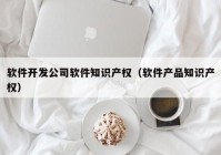 软件开发公司软件知识产权（软件产品知识产权）