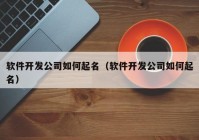 软件开发公司如何起名（软件开发公司如何起名）